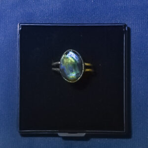 Spectro Ring 2
